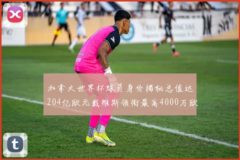 加拿大世界杯球员身价揭秘总值达204亿欧元戴维斯领衔最高4000万欧
